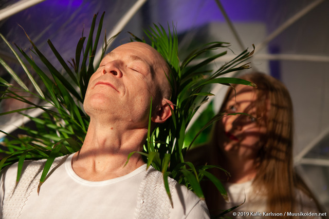 Fern Orchestra Fern Orchestra